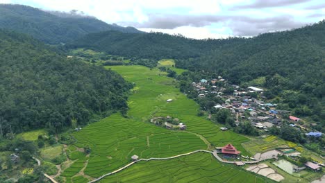 Kho-Ku-So-Puente-De-Bambú-Pai-En-Una-Aldea-Rural-Asiática-En-Terrazas