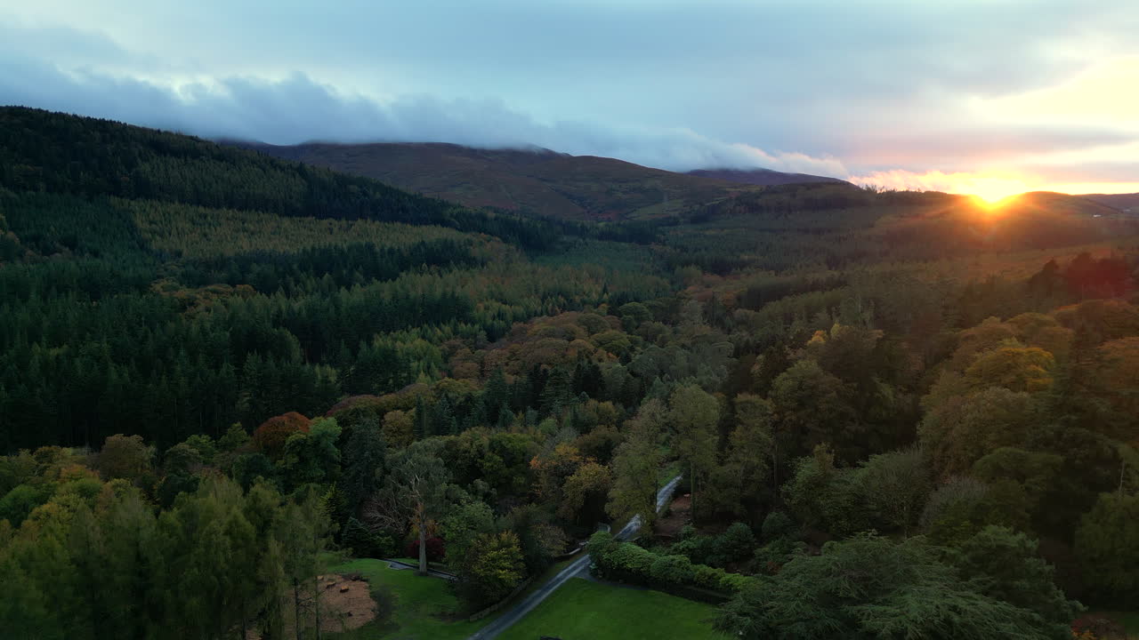Rising drone shot during sunset in forest park