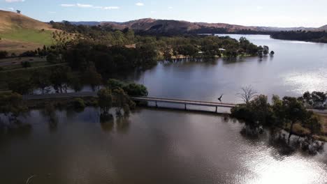 circling aerial small bridge over lake eildon, victoria australia