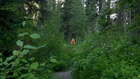 Rückansicht-Eines-Wanderpaares,-Das-Auf-Einem-Pfad-Im-Dichten-Wald-Spaziert,-4k