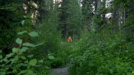 rear view of hiker couple walking on a pathway in the dense forest 4k