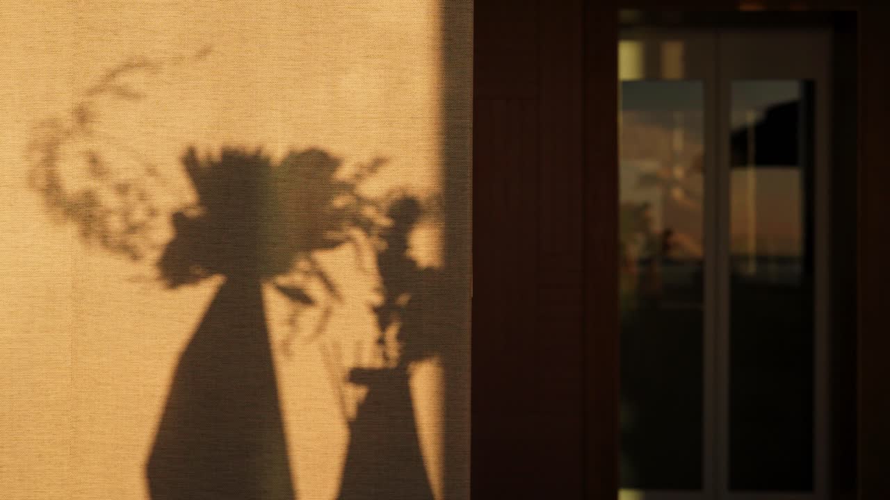 Shadow of arranged plants on a light wall inside a house