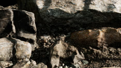cerca de la formación de piedras rocosas