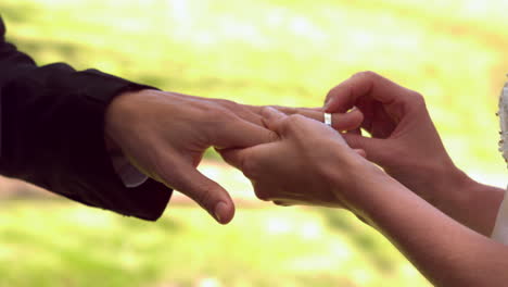 woman placing ring on grooms finger