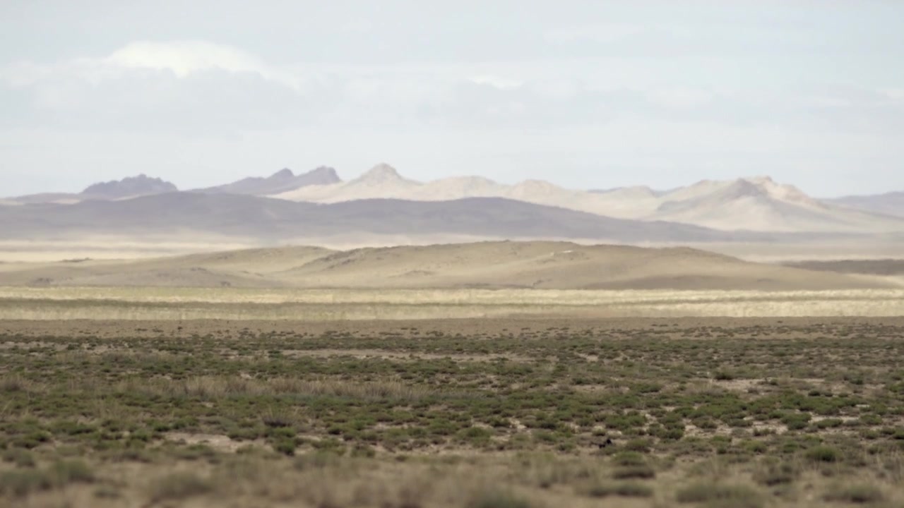 Vasto paesaggio desertico con montagne in lontananza in Mongolia