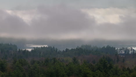 aerial view of a lake in the new hampshire wilderness. shot on an overcast day.