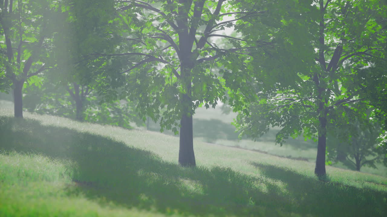Natures peaceful landscape with lush trees and gentle sunlight in springtime