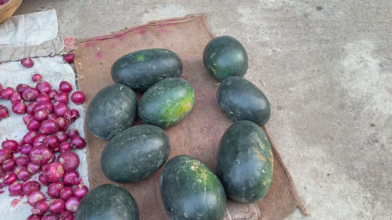 water melons for sale in india at the vegetable market or farmers market