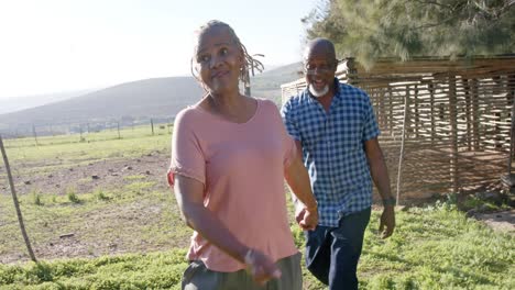 Feliz-Pareja-Afroamericana-De-Alto-Rango-Tomándose-De-La-Mano-Y-Caminando-En-La-Naturaleza-Soleada,-Cámara-Lenta