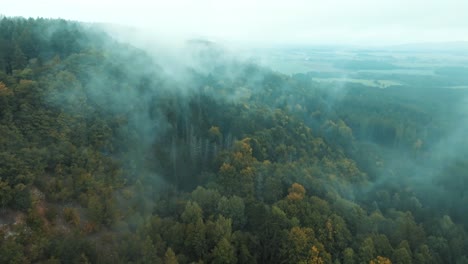 Vista-Por-Drones-Del-Bosque-Brumoso,-Vista-Aérea-Del-Bosque-Por-La-Mañana-Con-Niebla