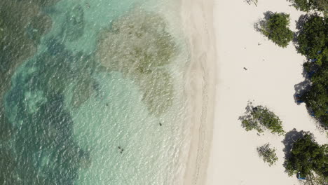 Antenne---Weißer-Sandstrand,-Playa-Teco-Maimon,-Dominikanische-Republik,-Von-Oben-Nach-Unten-Absenken