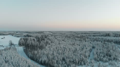 冬天晚上,在北卡雷利亞的pyhaselka,vuoniemi,芬蘭的saimaa湖沿岸,在黎明時,在雪覆蓋的樹木和冬天鄉村上空,空中,升起,無人機拍攝