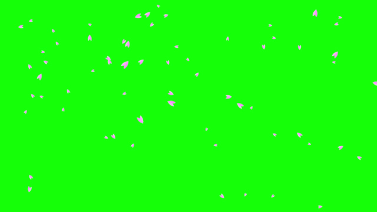 초록색 바탕에 분홍색 체리 꽃 잎이 떨어지고 떠다니고 있습니다.