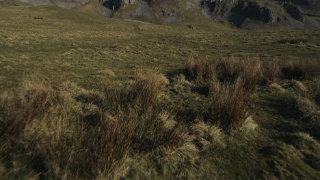 Disparo-De-Drones-Aéreos-Bajos-Que-Revelan-Nudos-Warrendale-Valles-De-Yorkshire-Campo-Hierba-Y-Colinas-Rocosas-En-Un-Día-Soleado-De-Verano-Reino-Unido