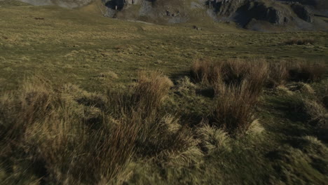 low aerial drone shot revealing warrendale knots yorkshire dales countryside grass and rocky hills on sunny summer day uk