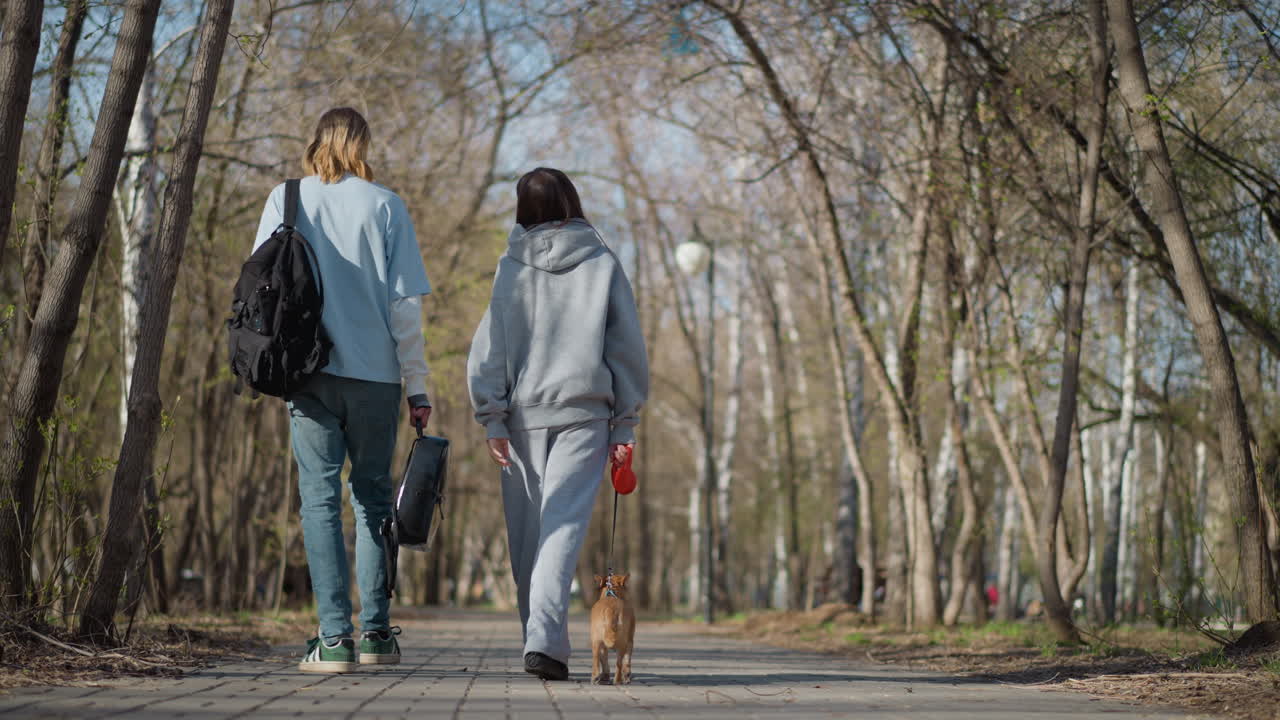 야외에서 산책하는 친구들, 작은 강아지와 함께 걷는 한 쌍, 평화로운 오솔길을 여행하는 친구들과 작은 강아지, 개와 배낭을 메고 고요한 길을 따라 걷는 남녀 친구