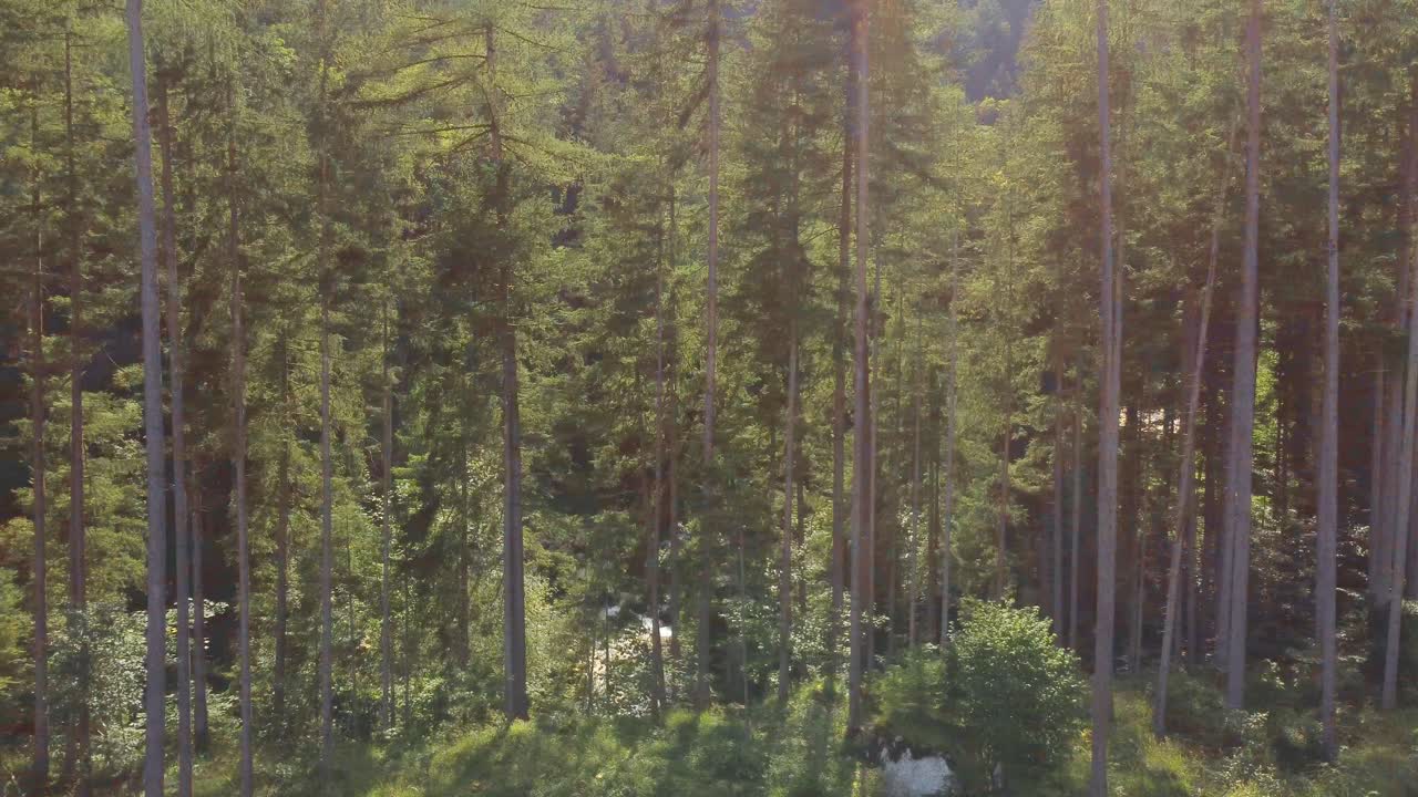 Inquadratura aerea laterale di una foresta austriaca, vivace paesaggio estivo soleggiato