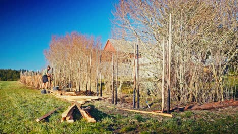 man is constructing a traditional norwegian fence during a sunny day. timelapse