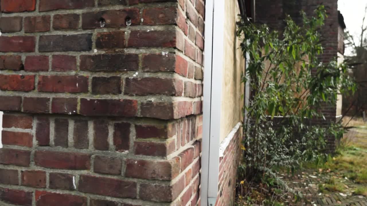 여 있는 식물 들 이 있는 버려진 벽돌 건물