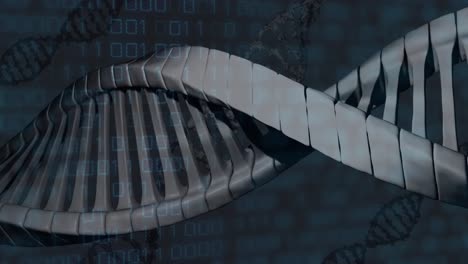 검은색 배경에 데이터 처리 및 dna  ⁇ 의 애니메이션