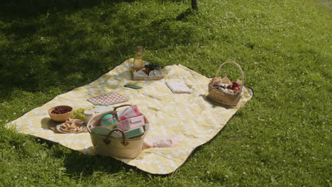 picnic on a sunny day in the park