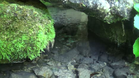 el agua potable sale de la cueva y pasa por debajo del puente