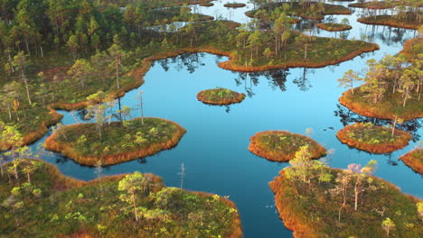 countryside marsh wetland lakes, wildlife habitat, 4k aerial view