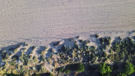 aerial high angle view from residential buildings into the ocean