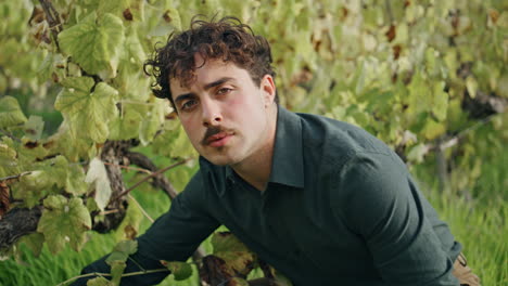 man checking vine growth grape plantation vertical closeup. winegrower vineyard