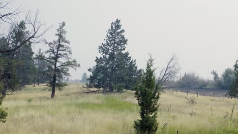 Amplia-Toma-Panorámica-Del-Humo-De-Los-Incendios-Forestales-En-El-Centro-De-Oregon.