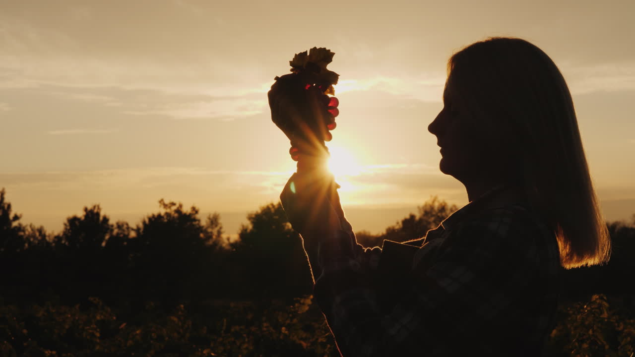 silueta de un granjero sosteniendo un racimo de uvas en sus manos contra el sol poniente