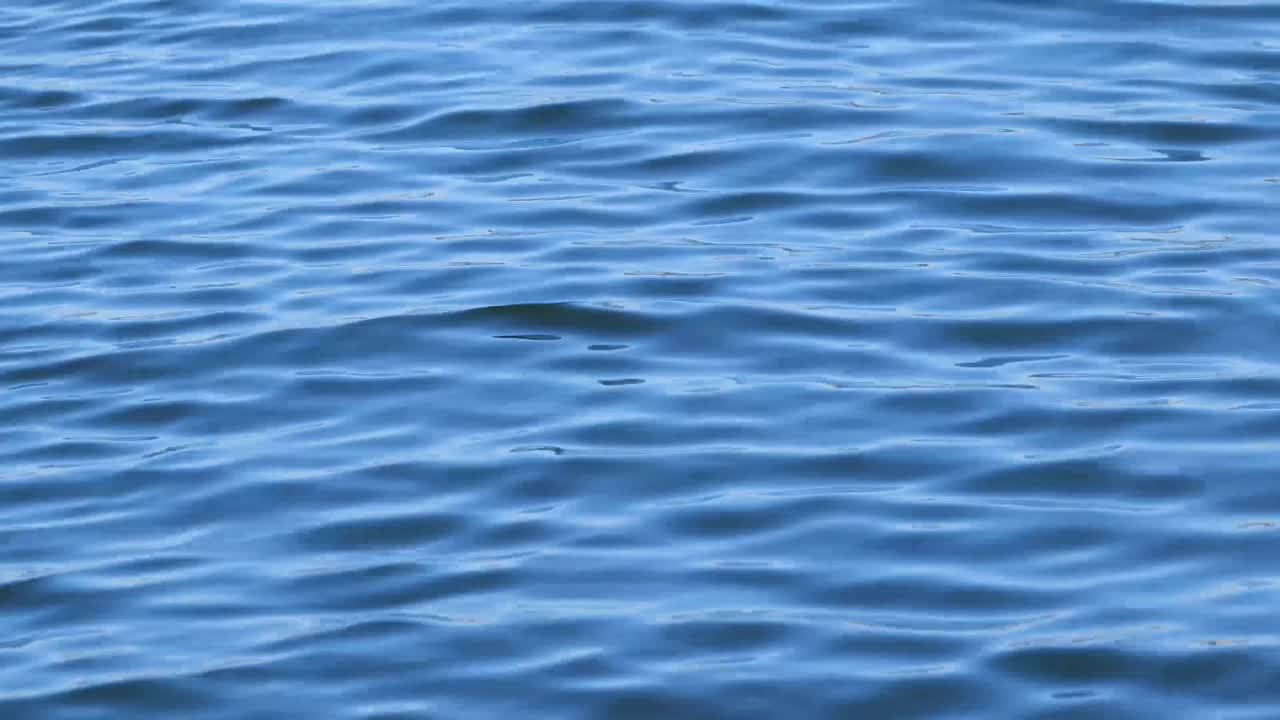 4k 60p에서 움직이는 물