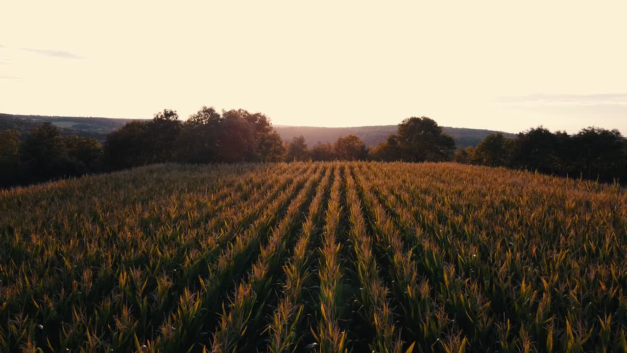 Beautiful low fly aerial Drone shot