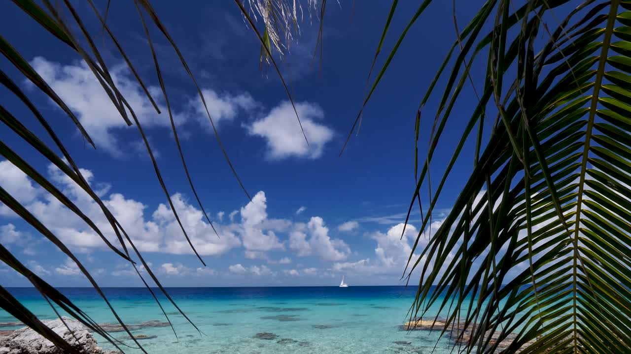 Am Horizont segelt ein Segelboot über die unglaublich schöne blaue Lagune des Atolls von Fakarava, Französisch-Polynesien. Die Kamera neigt sich nach unten, um das Segelboot ins Bild zu bekommen.