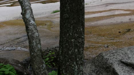 Clear-water-runs-over-stone-slabs,-seen-through-the-trees-from-the-edge-of-a-forest