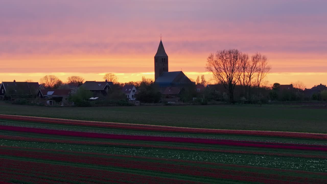 Veduta aerea di campi di tulipani in fiore accanto a una chiesa a Den Oever, Paesi Bassi