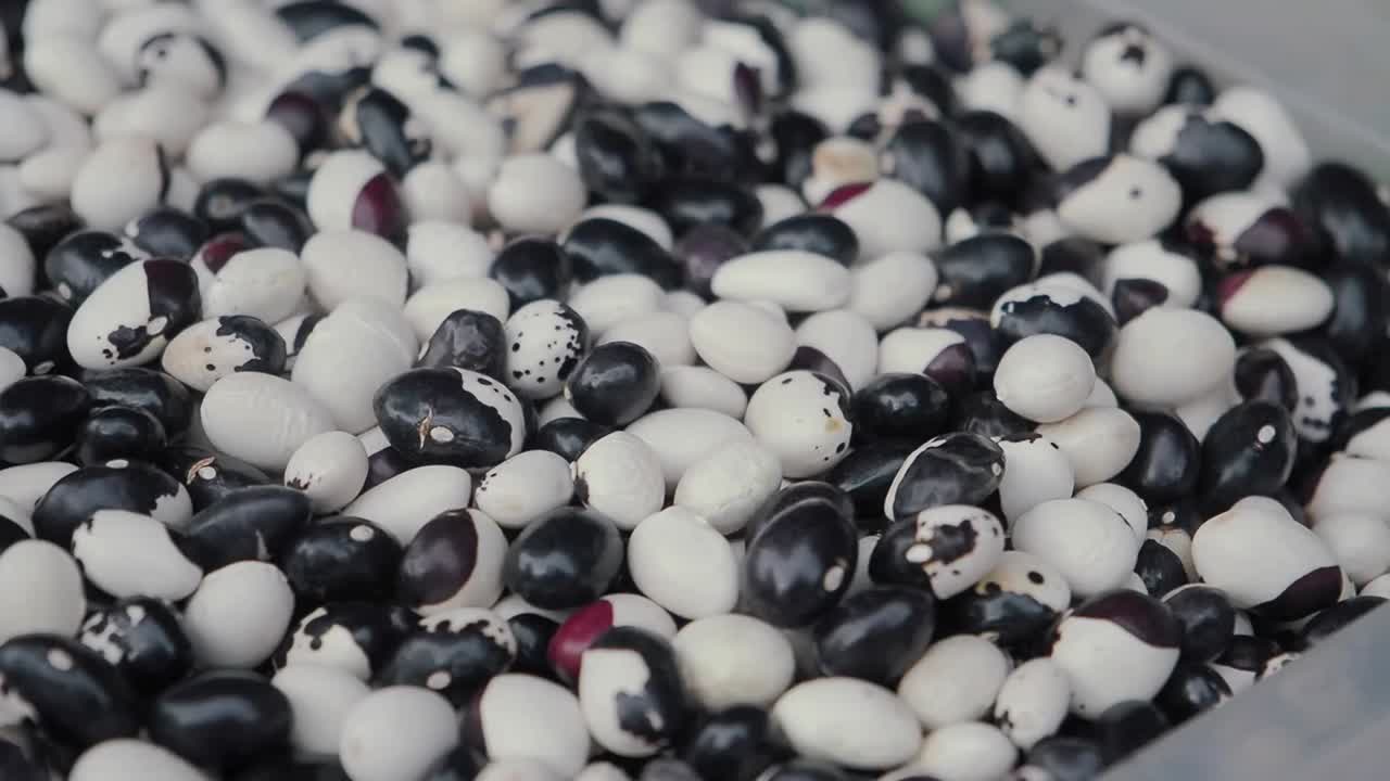Close-up of Mixed Dried White and Black Beans