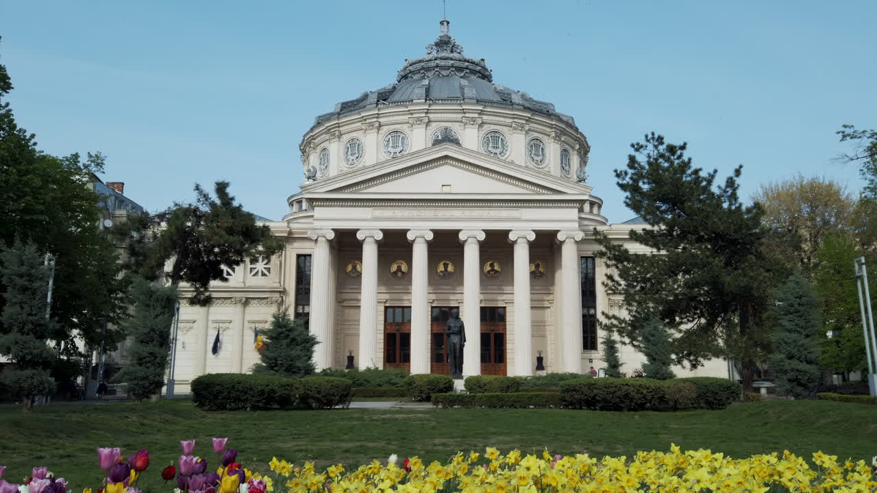 Bright flowers fill the garden as tulips and daffodils bloom under the spring sun. Nature's beauty is on display, attracting visitors to enjoy the colorful landscape