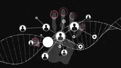 Animation-of-dna-strand-spinning-and-network-of-connections-over-biometric-handprint