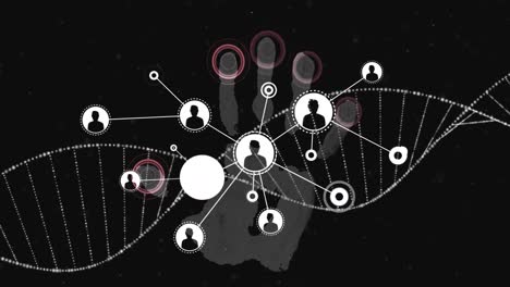 animación del hilado de la cadena de adn y la red de conexiones a través de la huella biométrica de la mano