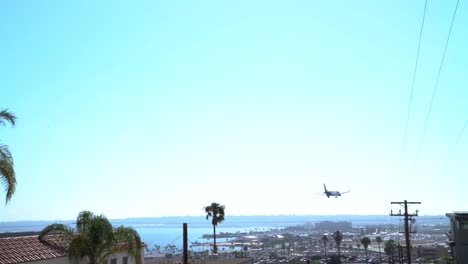 palm trees and clear skys