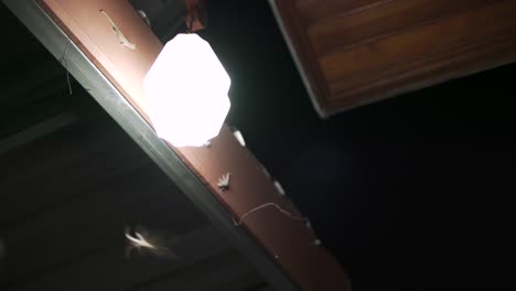 el enjambre de insectos atrayendo y volando alrededor de la luz por la noche