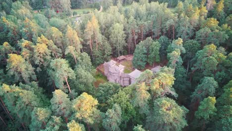 reconstructed wooden castle of semigallians in tervete, latvia surrounded by pine forest