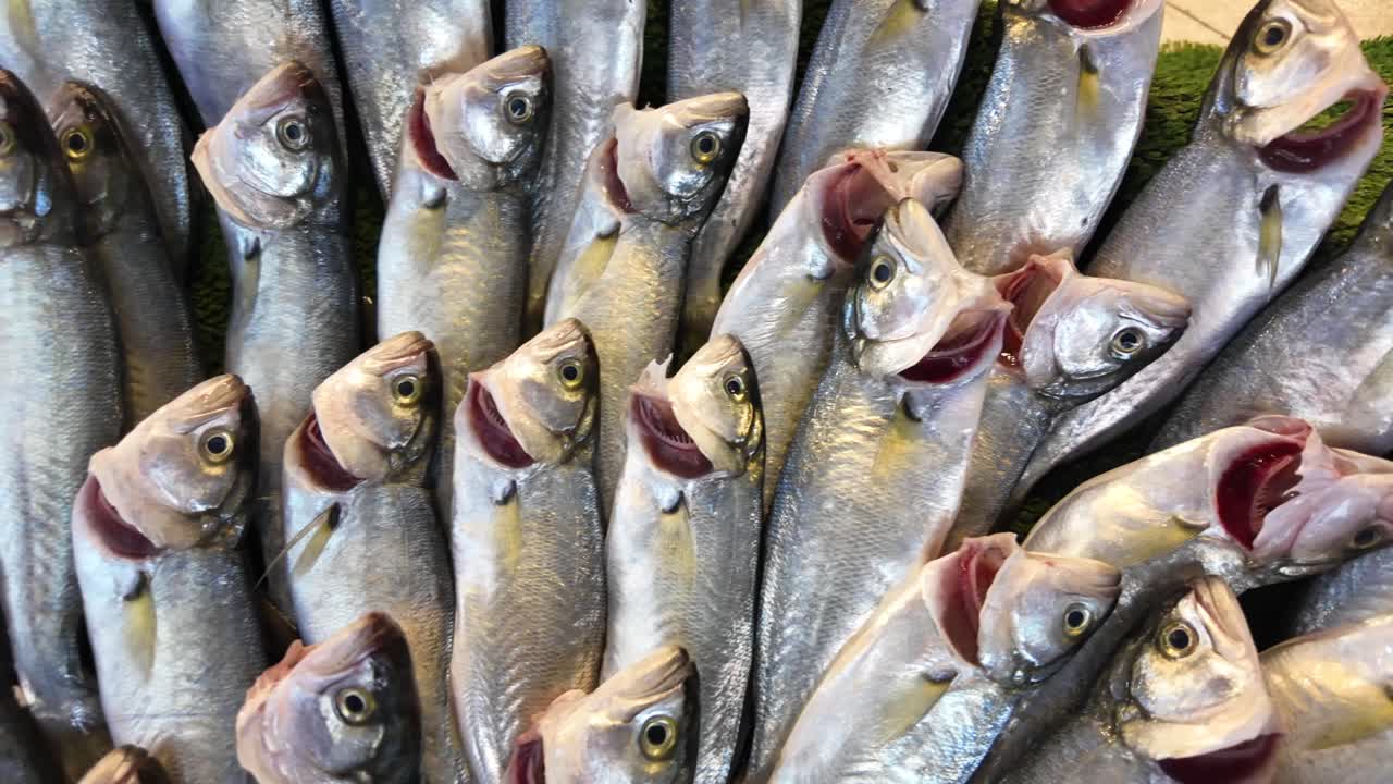 Fresh Fish at the Market
