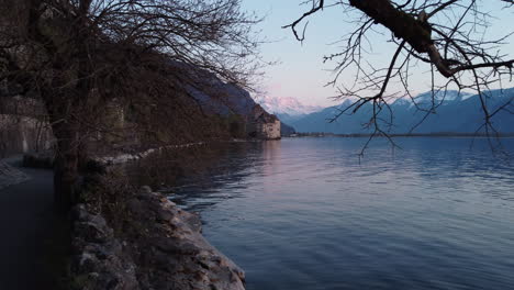 voo aéreo lento entre duas árvores do lago genebra e uma antiga adega de castelo ao fundo perto de montreux, suíça ao pôr do sol