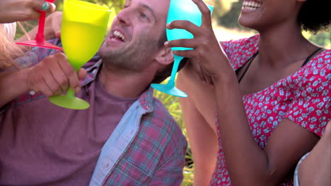 four friends drinking in the countryside make a toast