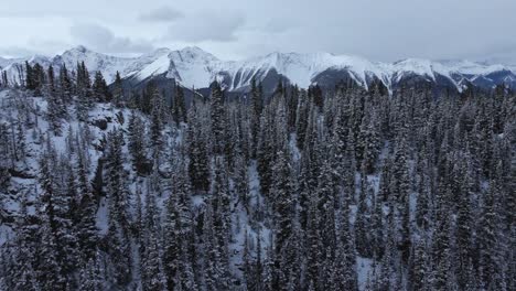 Mountain-range-behind-peak-pine-forest-in-snow