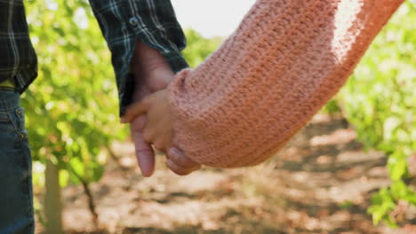 close up shot of couple holding hands in a vineyard