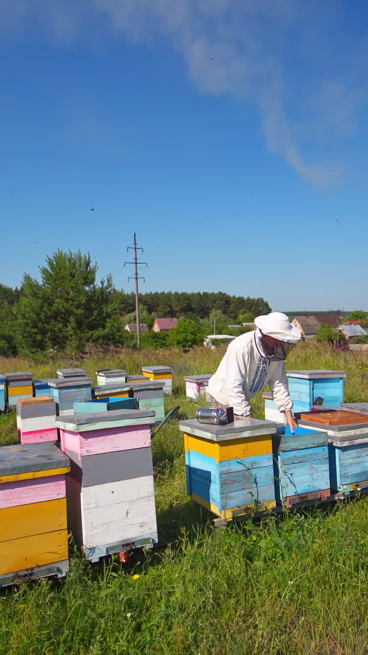 Apiary on the background of countryside. Beekeeper works on the apiary in a bright summer day. Wooden beehives on green grass. Vertical video