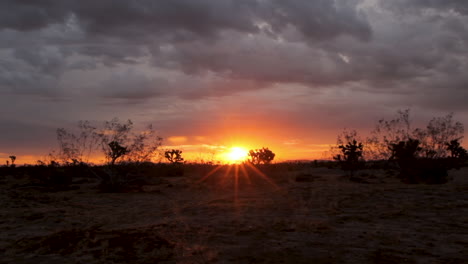 sun rise-sun set in the desert